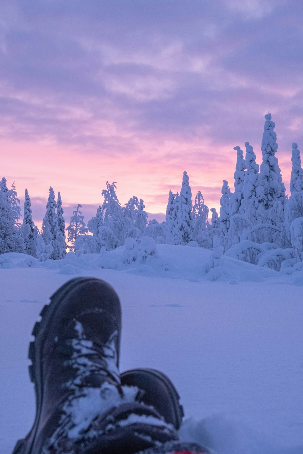 snow covered trees during daytime