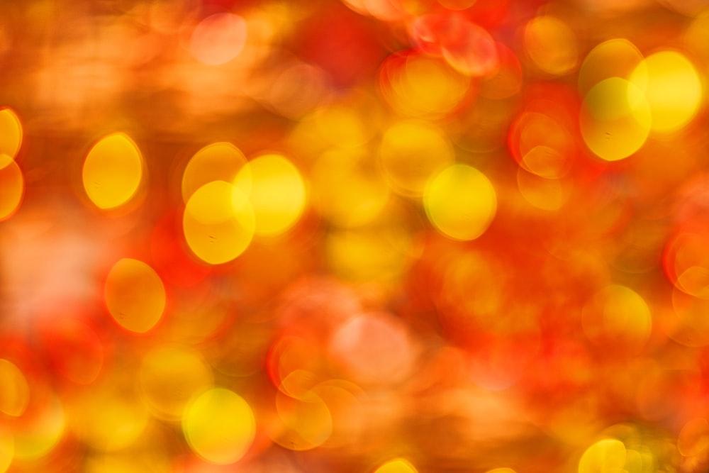 yellow and red bokeh lights