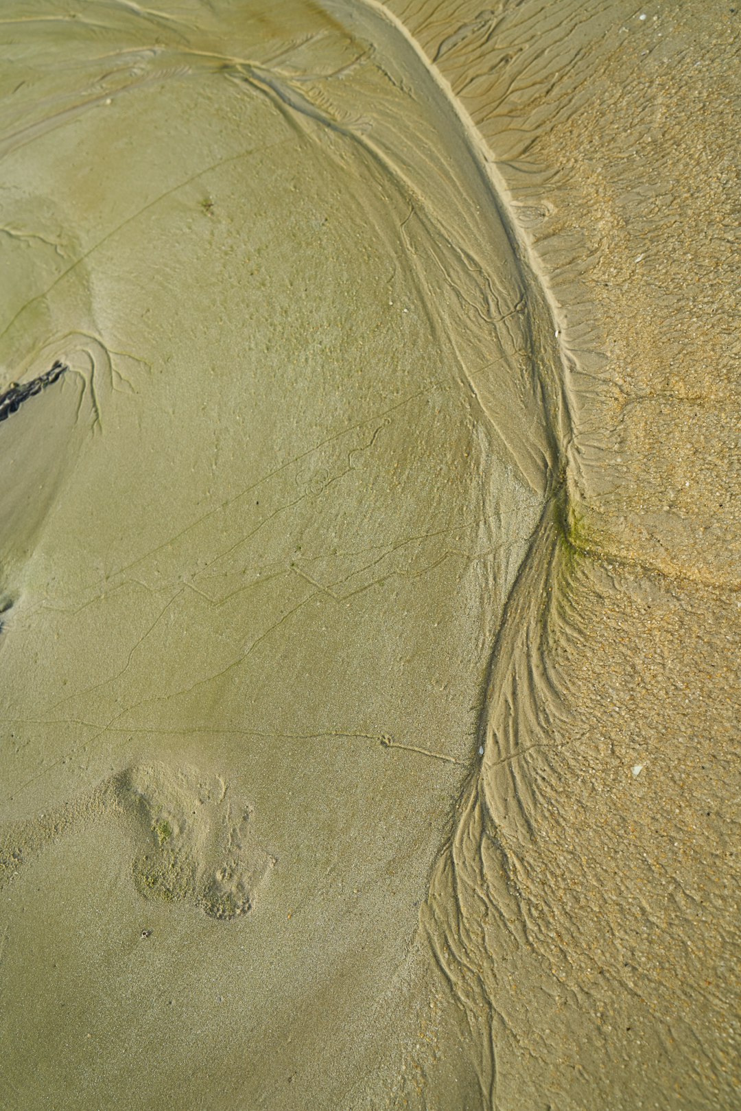 aerial view of brown sand