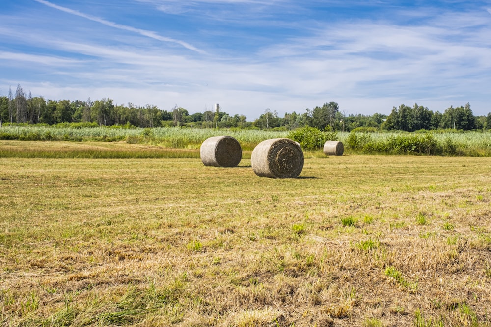 brown hays on brown grass field under blue sky during daytime