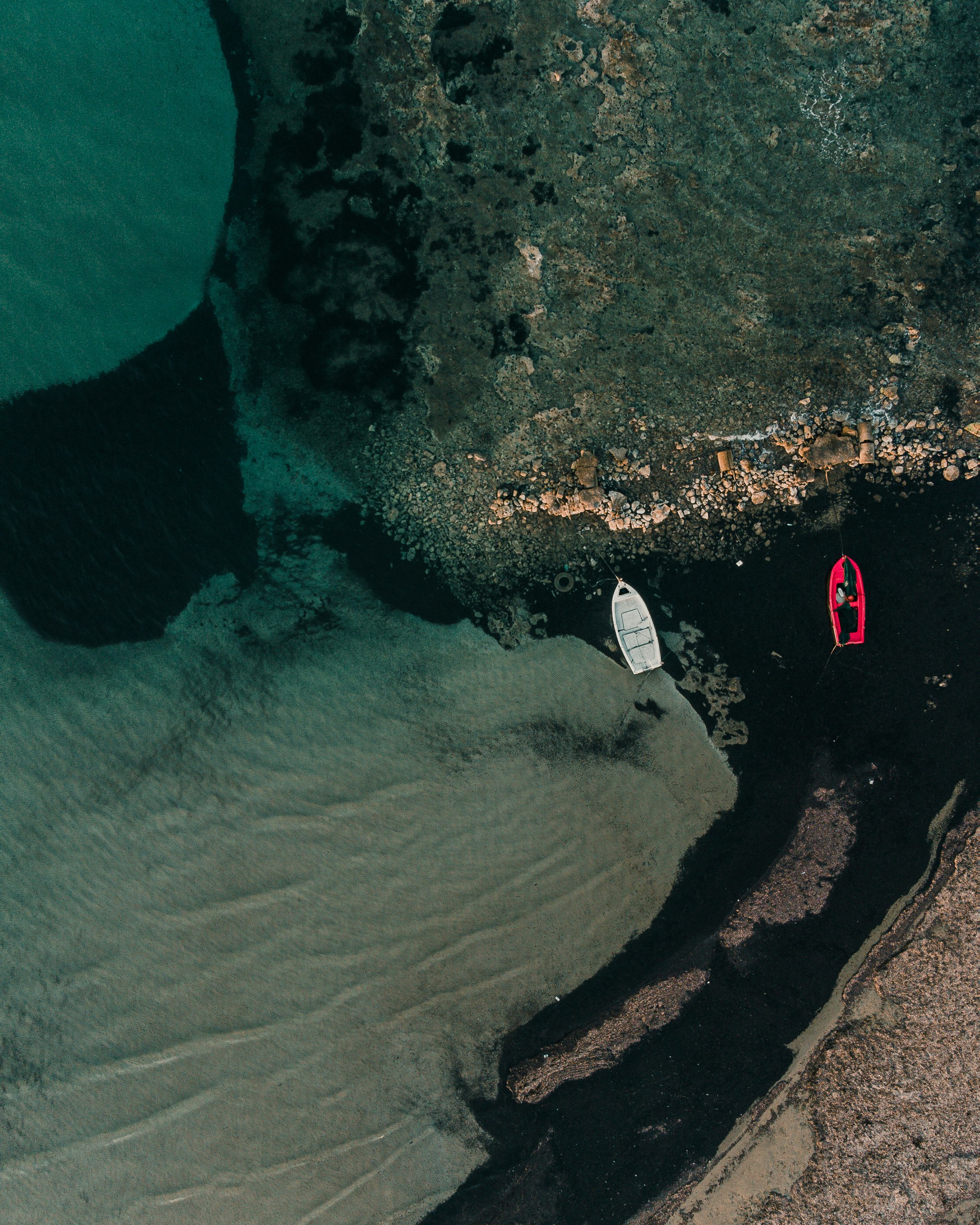 aerial view of people on beach during daytime