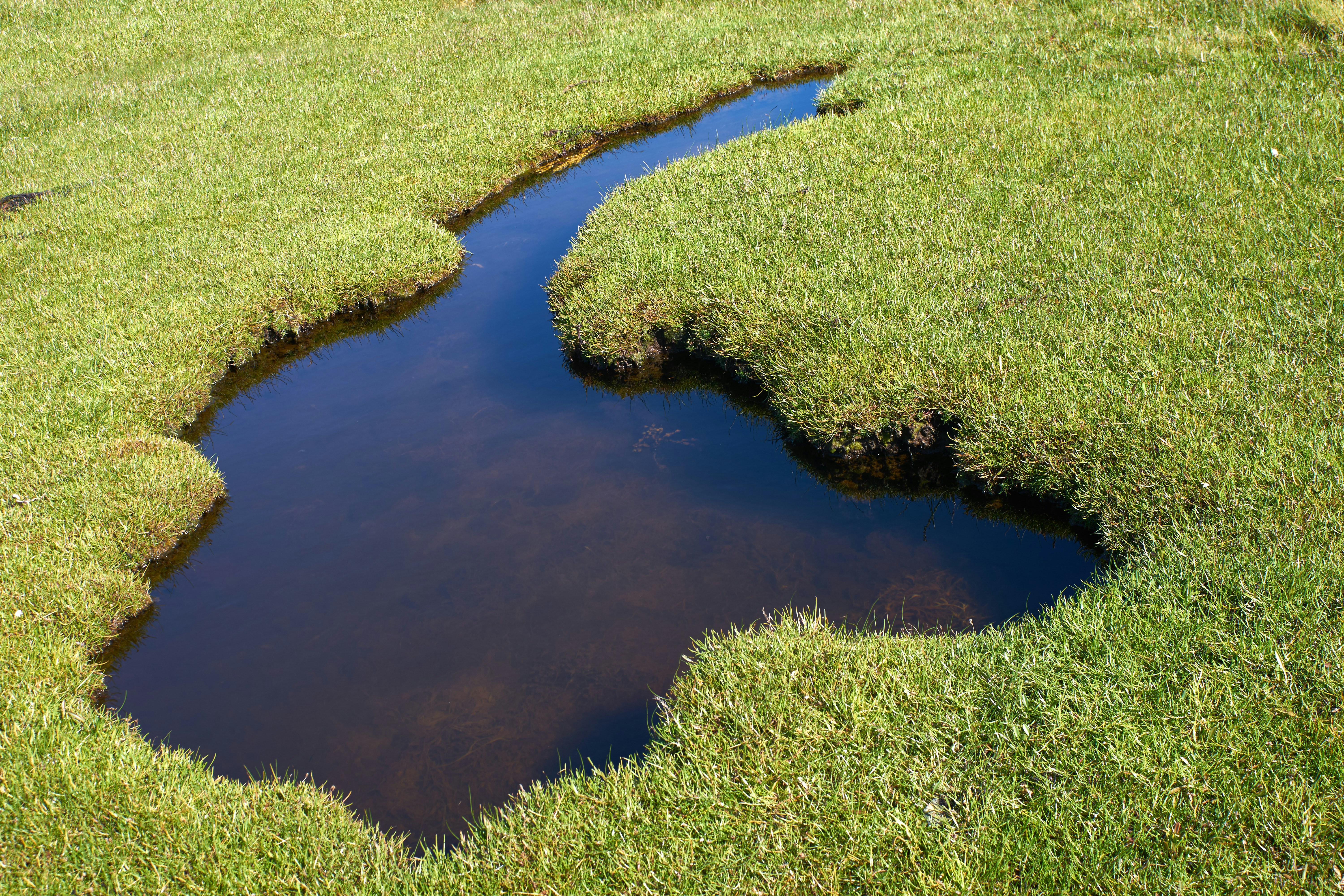 Photo by wolfgang_hasselmann