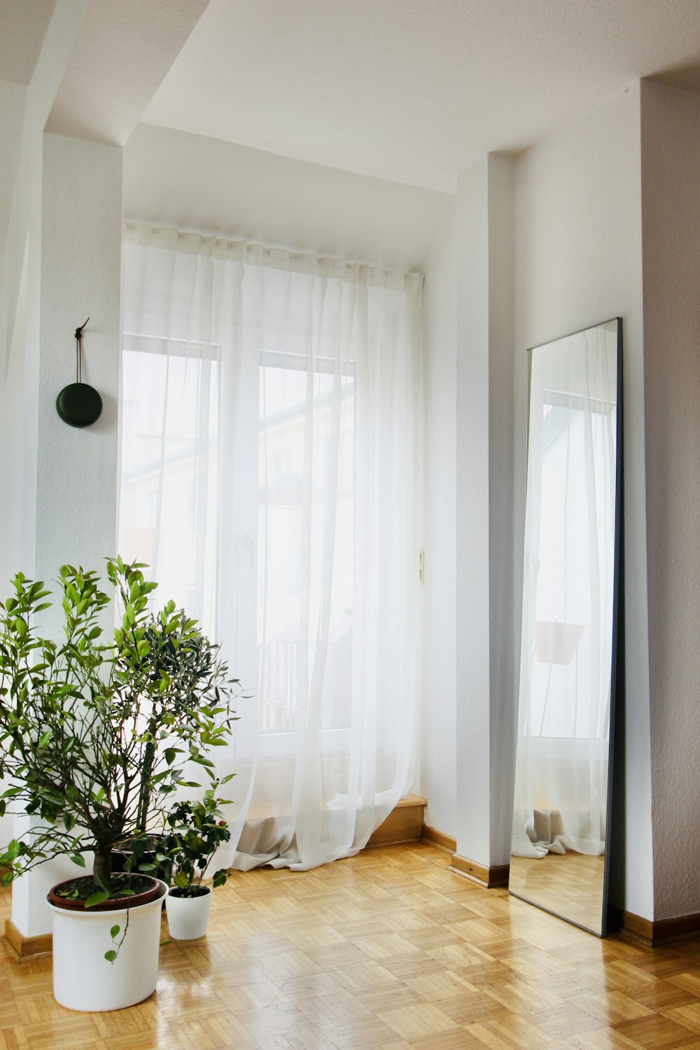 green potted plant near white window curtain