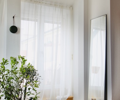 green potted plant near white window curtain