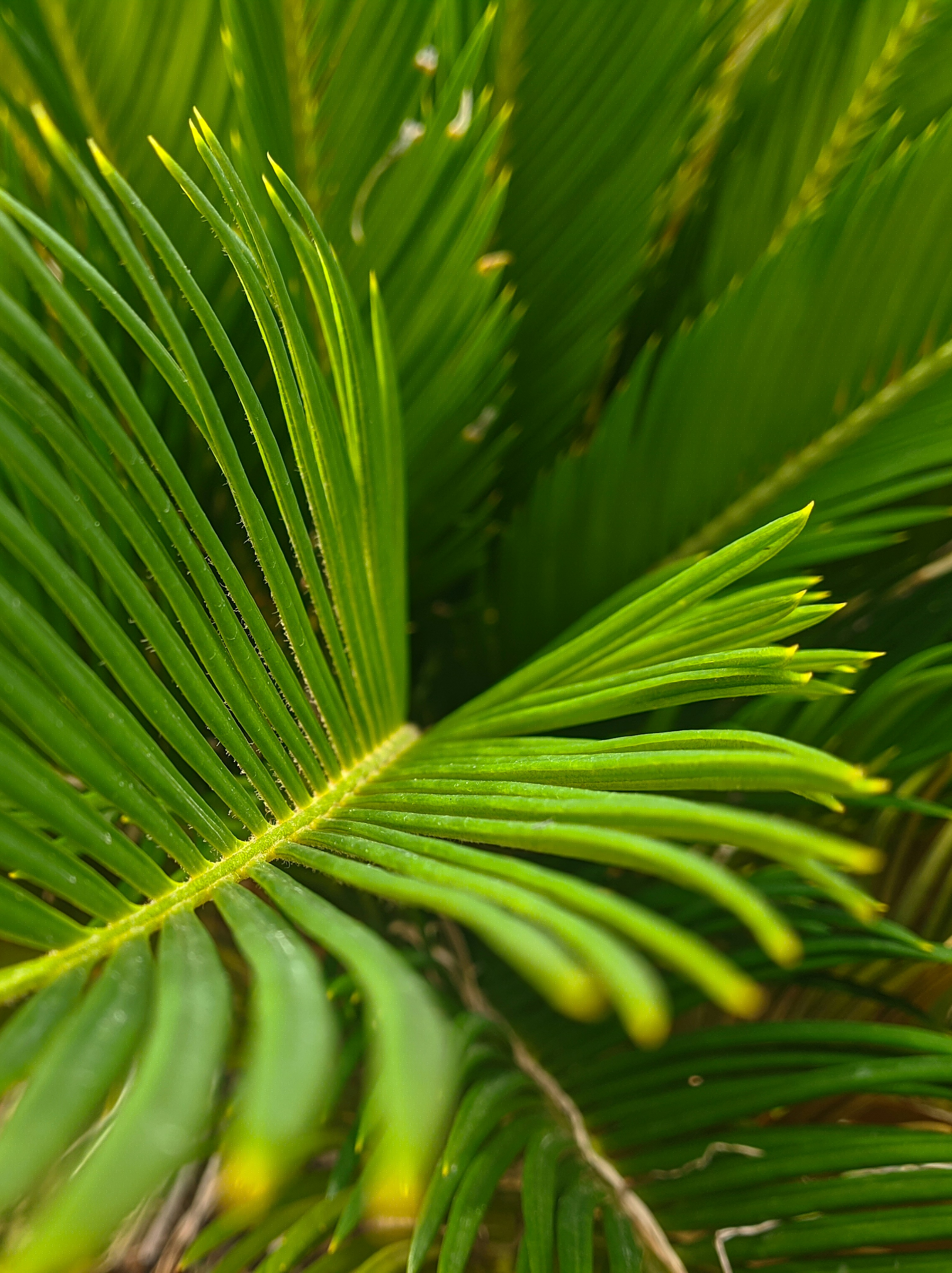 Photo by themirsuhail