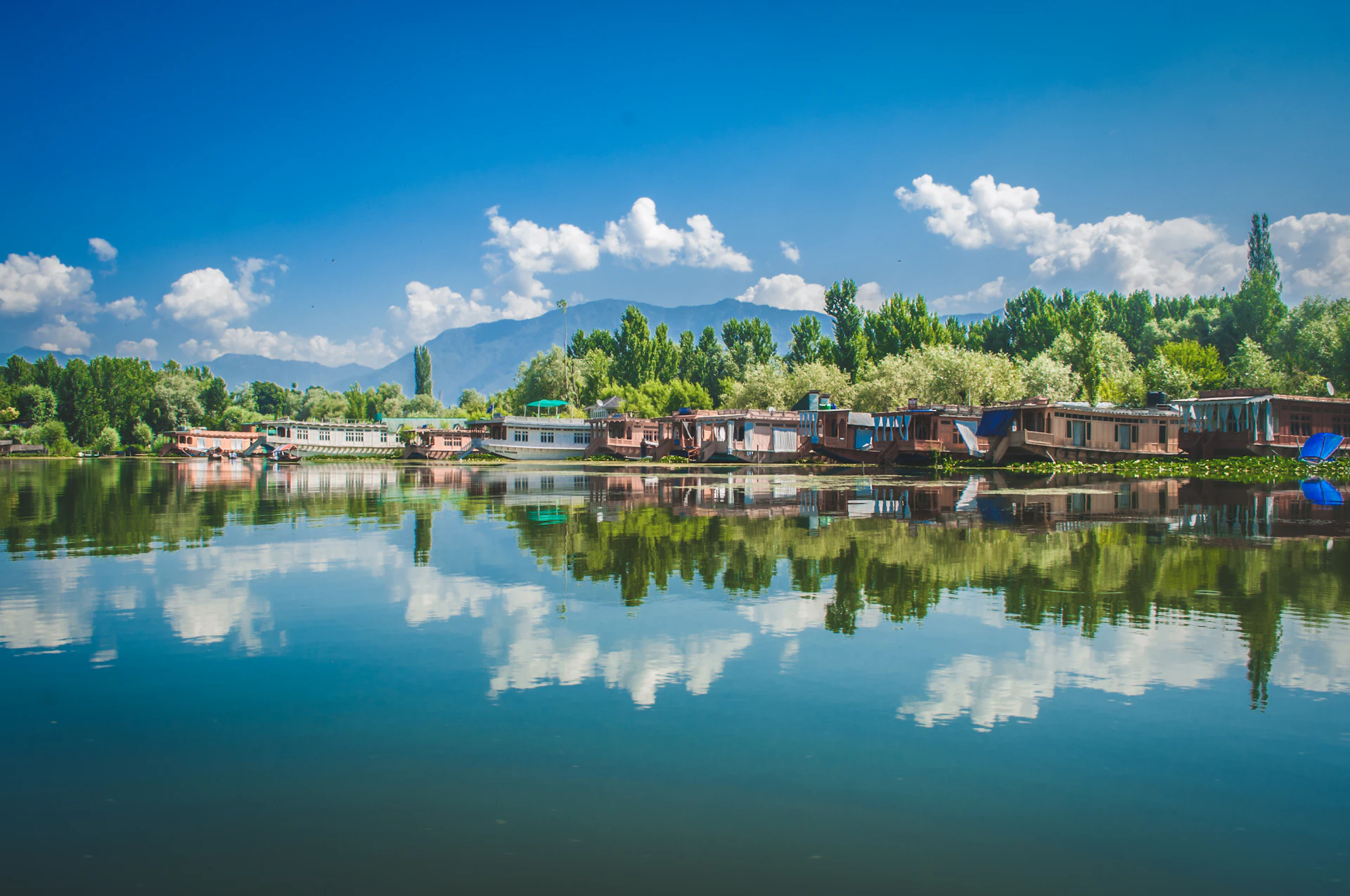 Kashmir Summer Valley Sale