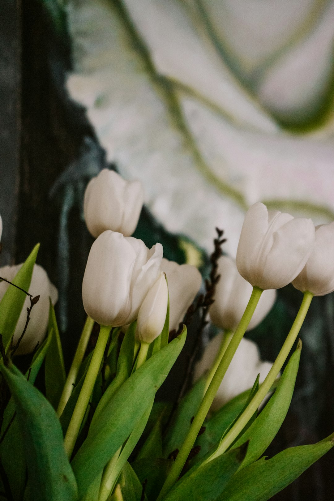 white flowers with green leaves