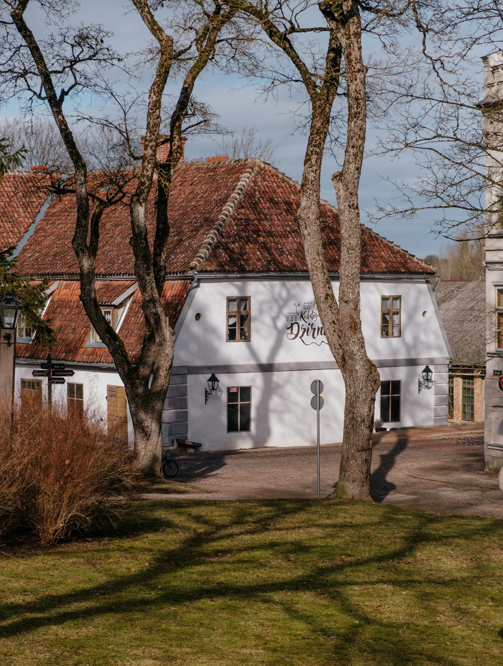 昼間の茶色の木の近くの白いコンクリートの家