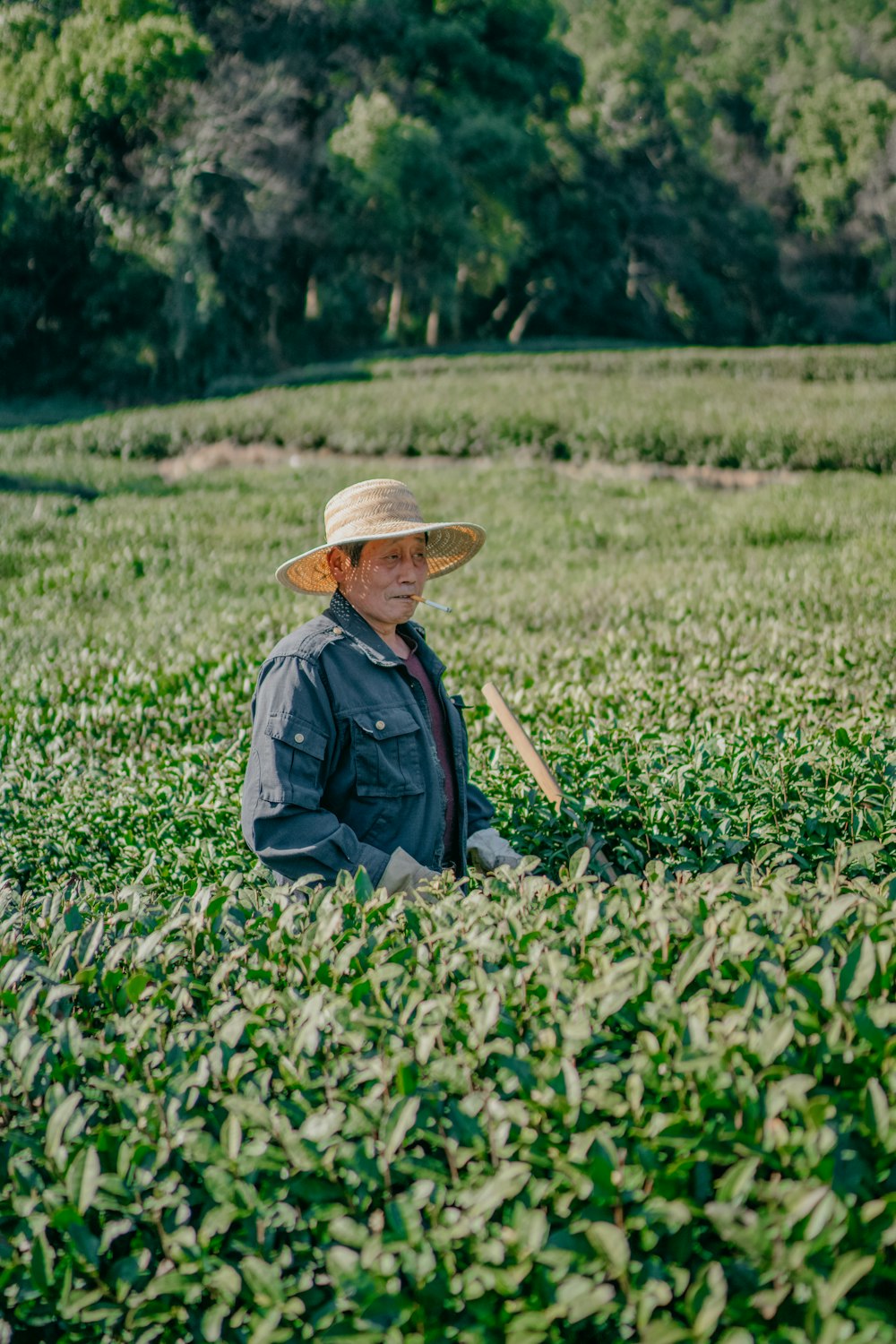 woman in blue jacket and brown straw hat sitting on green grass field during daytime