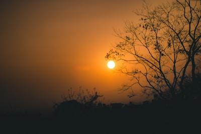 A peaceful sunset symbolizing hope and renewal.