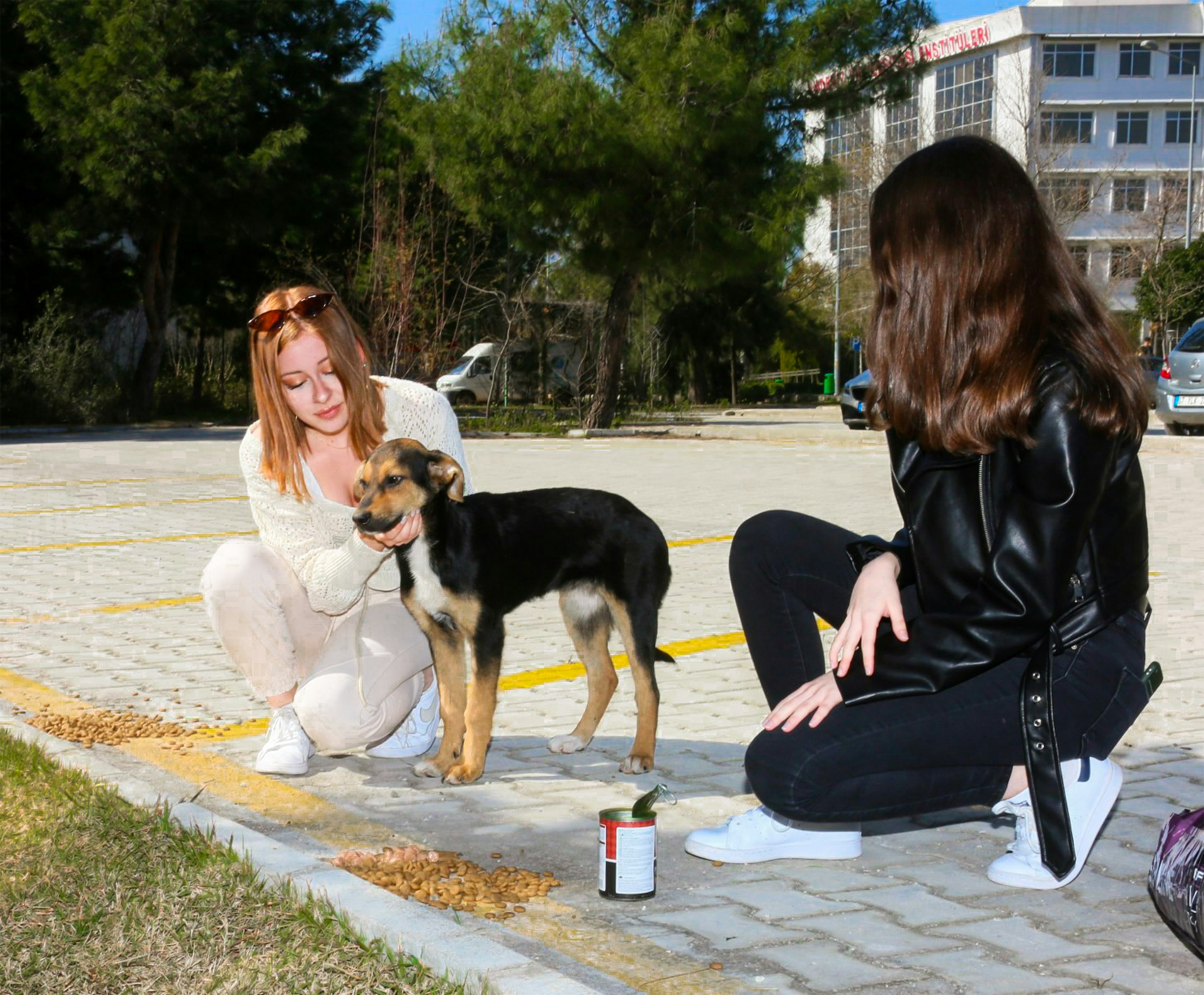 woman in black leather jacket sitting beside black and white short coated small dog