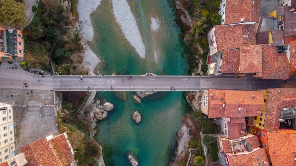 aerial view of body of water near trees during daytime