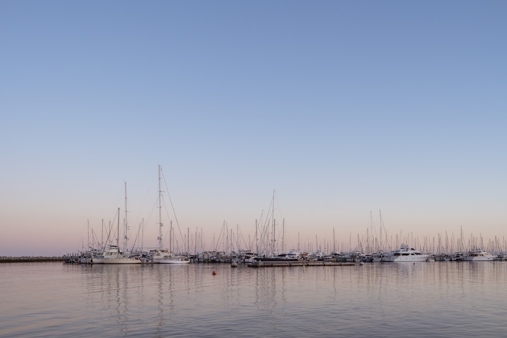 Specchio d'acqua sotto il cielo blu durante il giorno