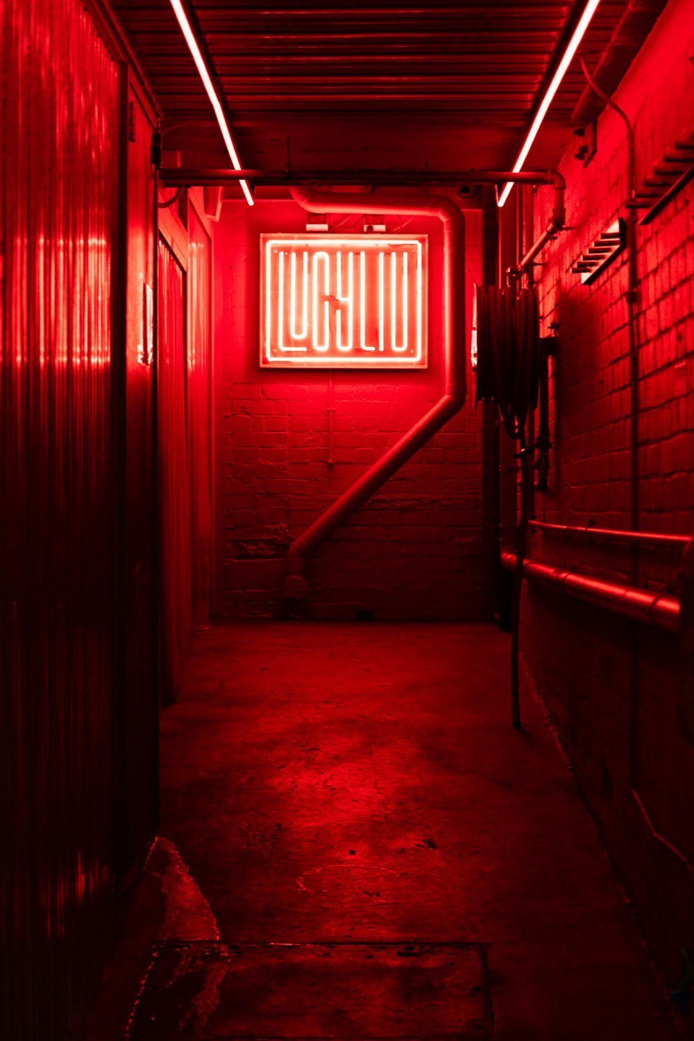 red and white neon light signage