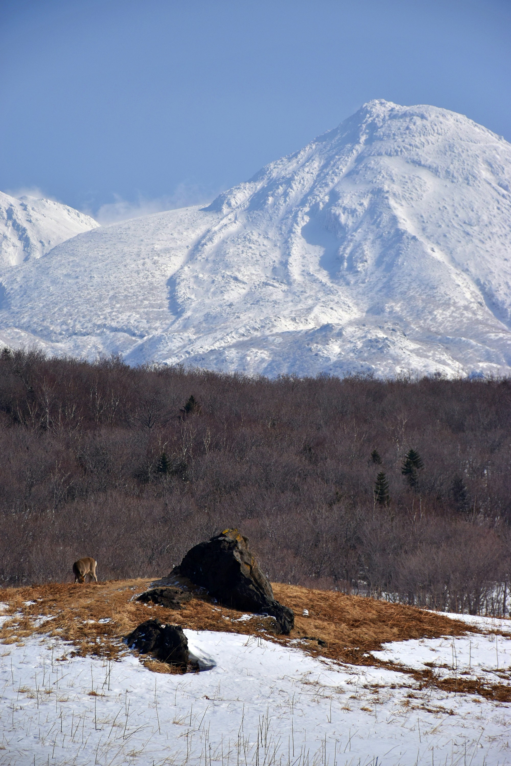 Discover Shiretoko: A Scenic Wilderness in Japan