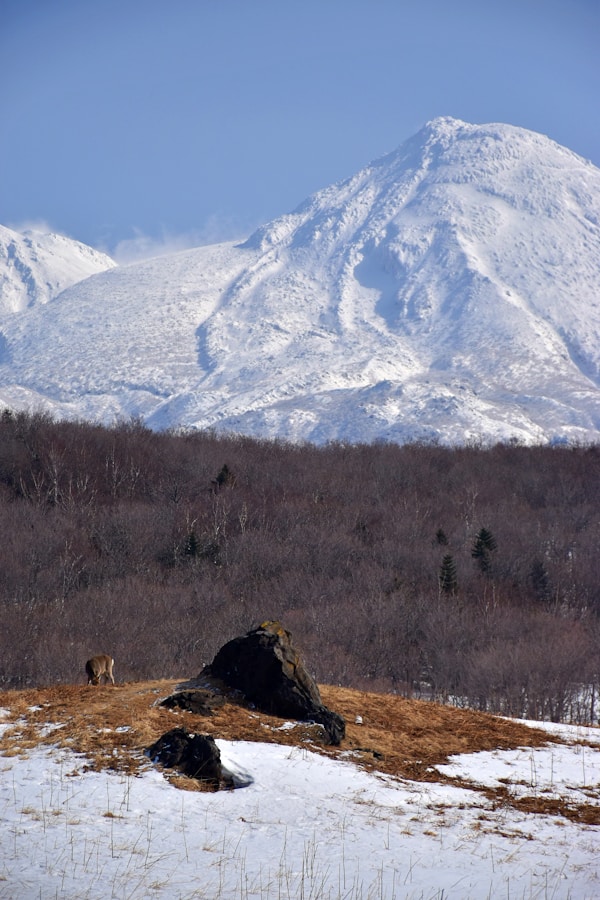 Discover Shiretoko: A Scenic Wilderness in Japan