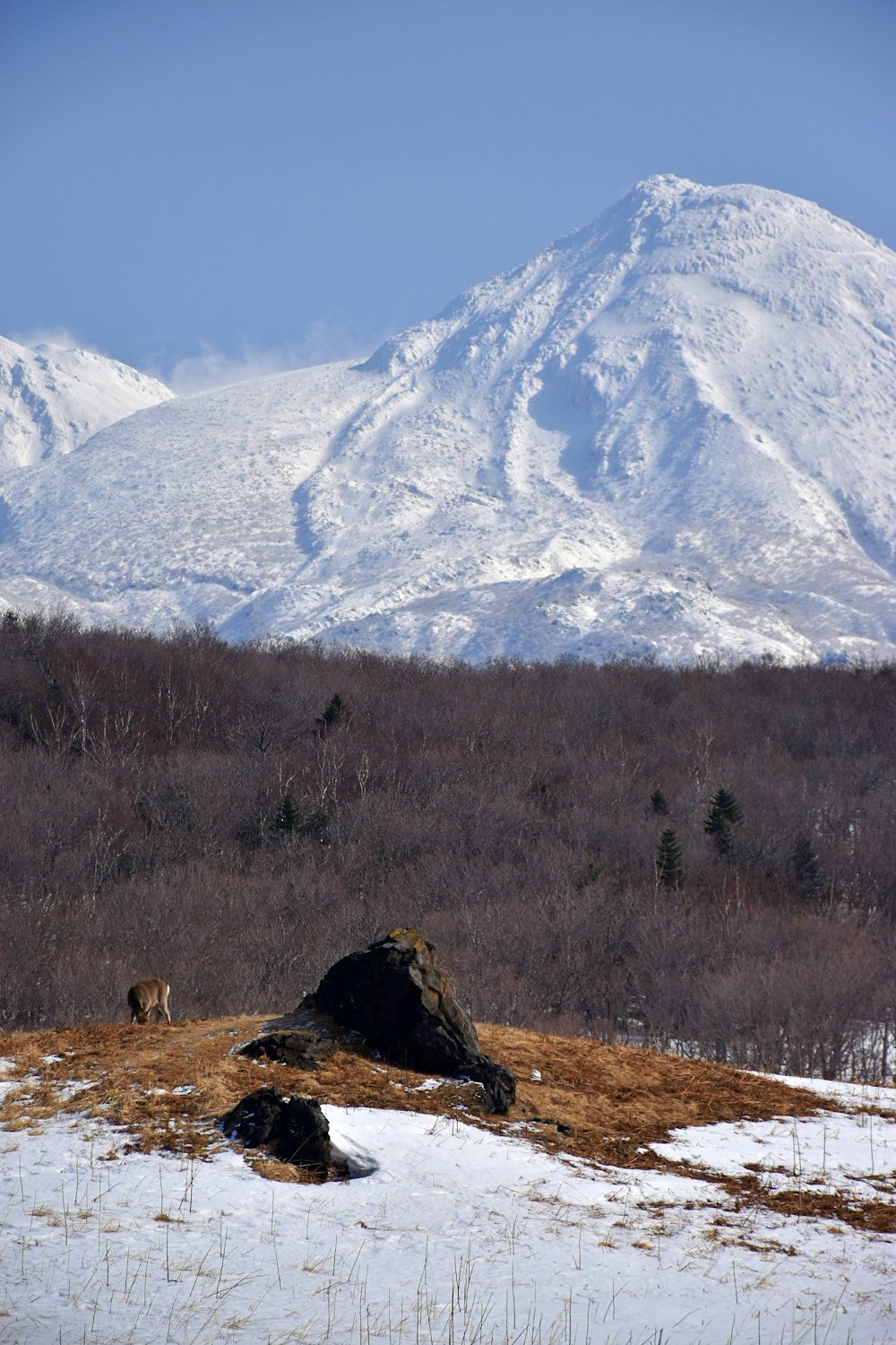 green grass field near snow covered mountain during daytime