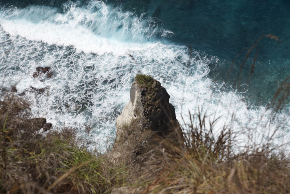 green grass on brown rock formation beside body of water during daytime