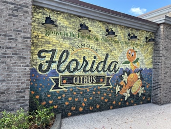 A painted mural on a brick wall depicts a vintage-style advertisement for Florida citrus. The artwork features the word 'Florida' prominently in large, decorative script, accompanied by an illustration of an animated citrus fruit character with expressive eyes and limbs. Surrounding the character are orange blossoms and stylized fruit designs. Overhead, black metal lights are affixed to the wall.