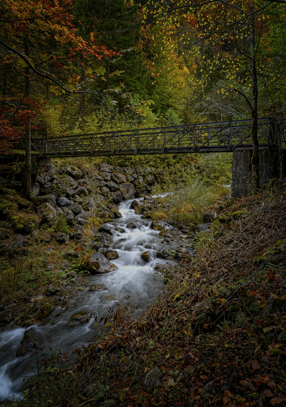 갈색 나무 다리에 흐르는 물