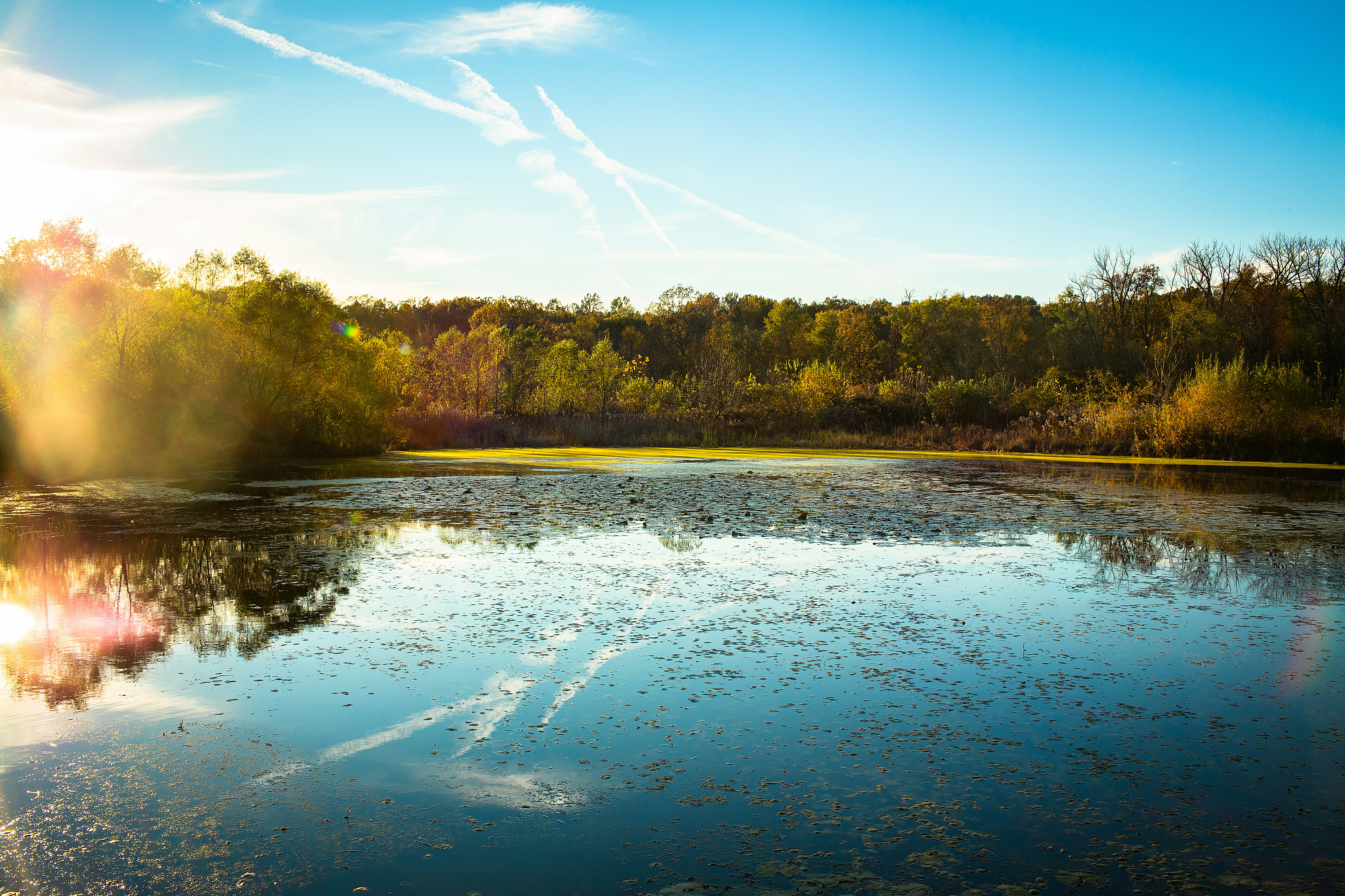 Photo by barefootfoto