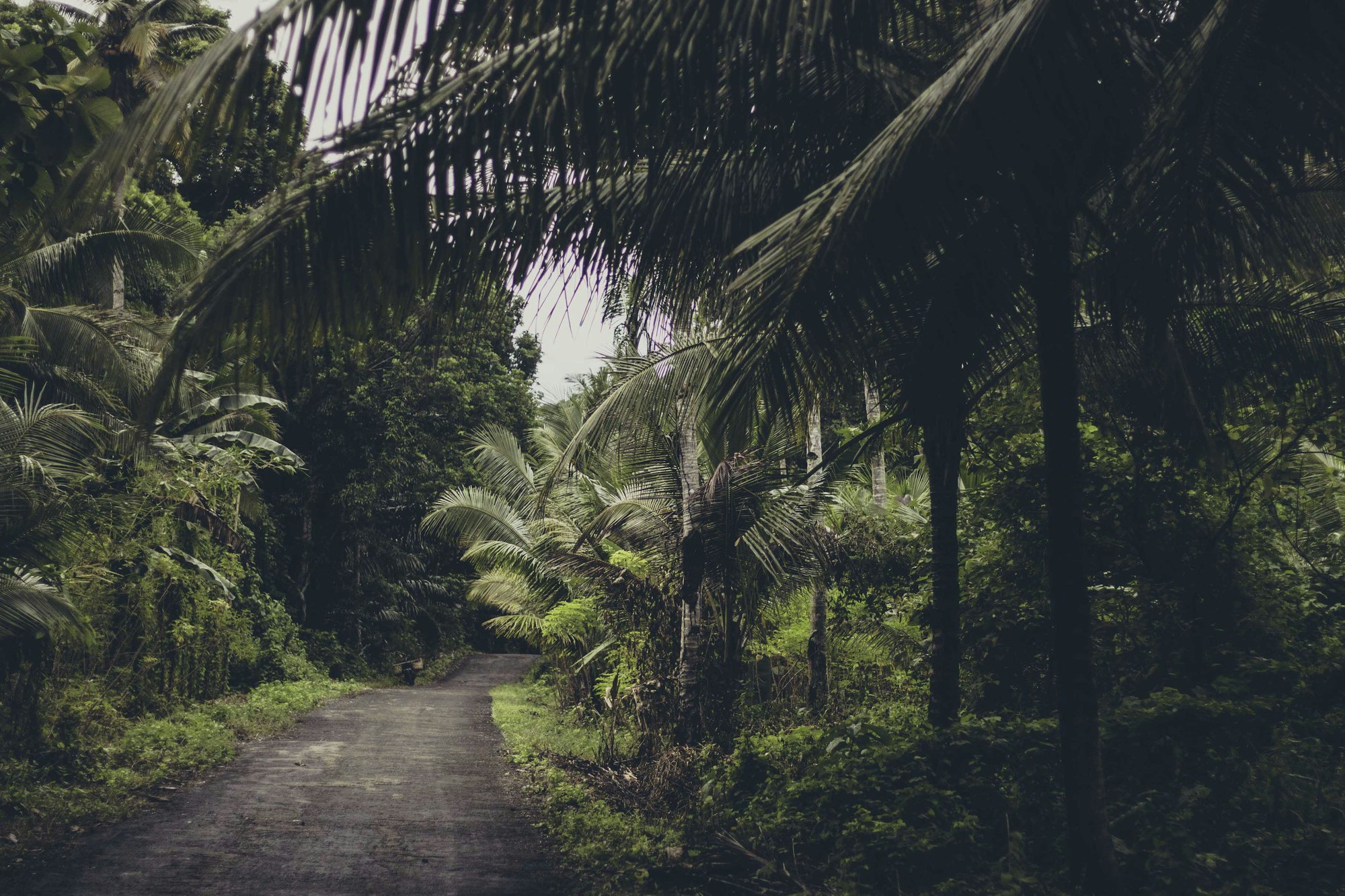 Wakatobi Travel Guide: Explore Nature's Wonders
