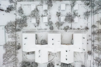 white and gray floral wall
