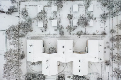 white and gray floral wall
