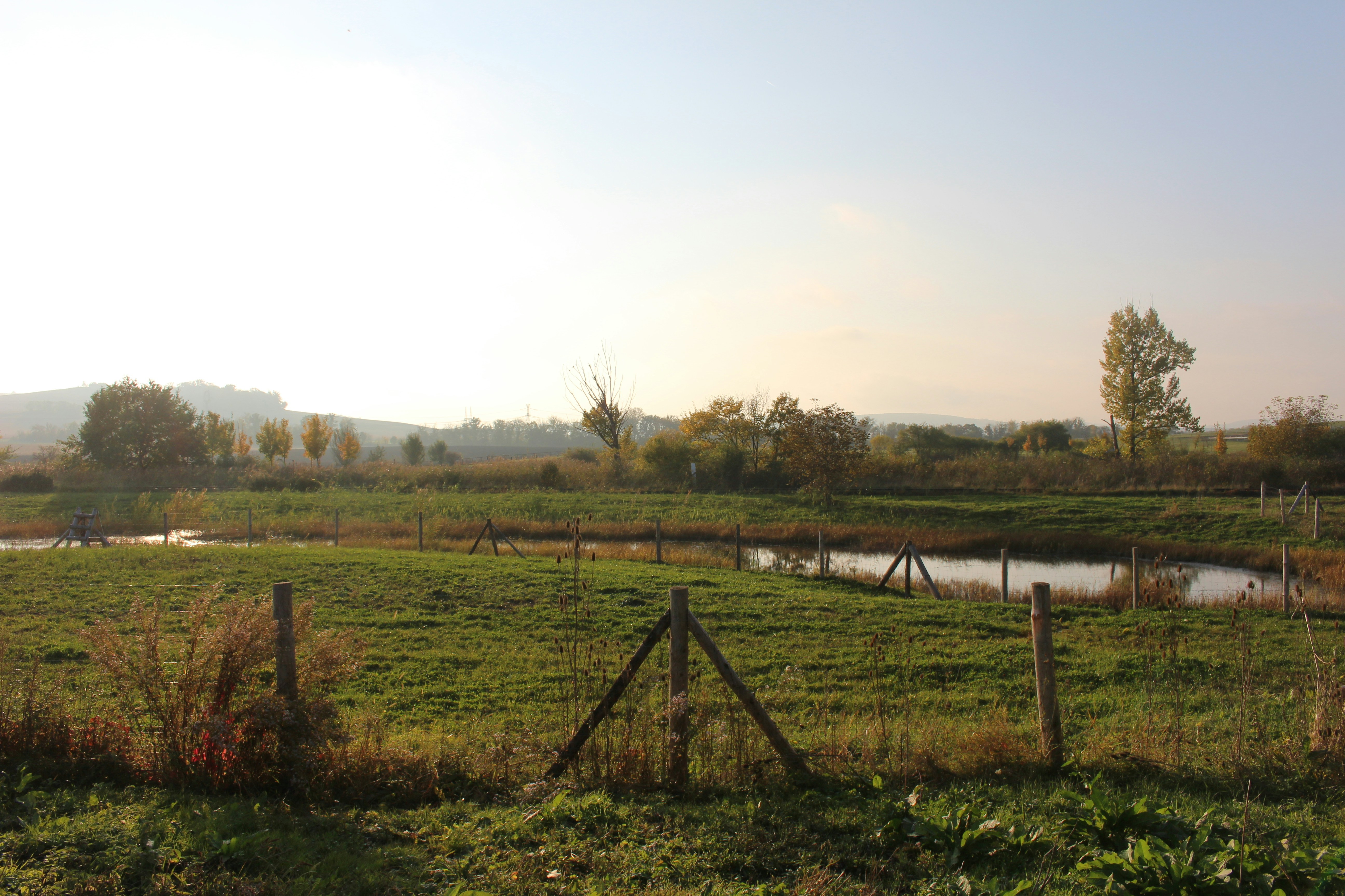 Photo by marjorylucabaxter