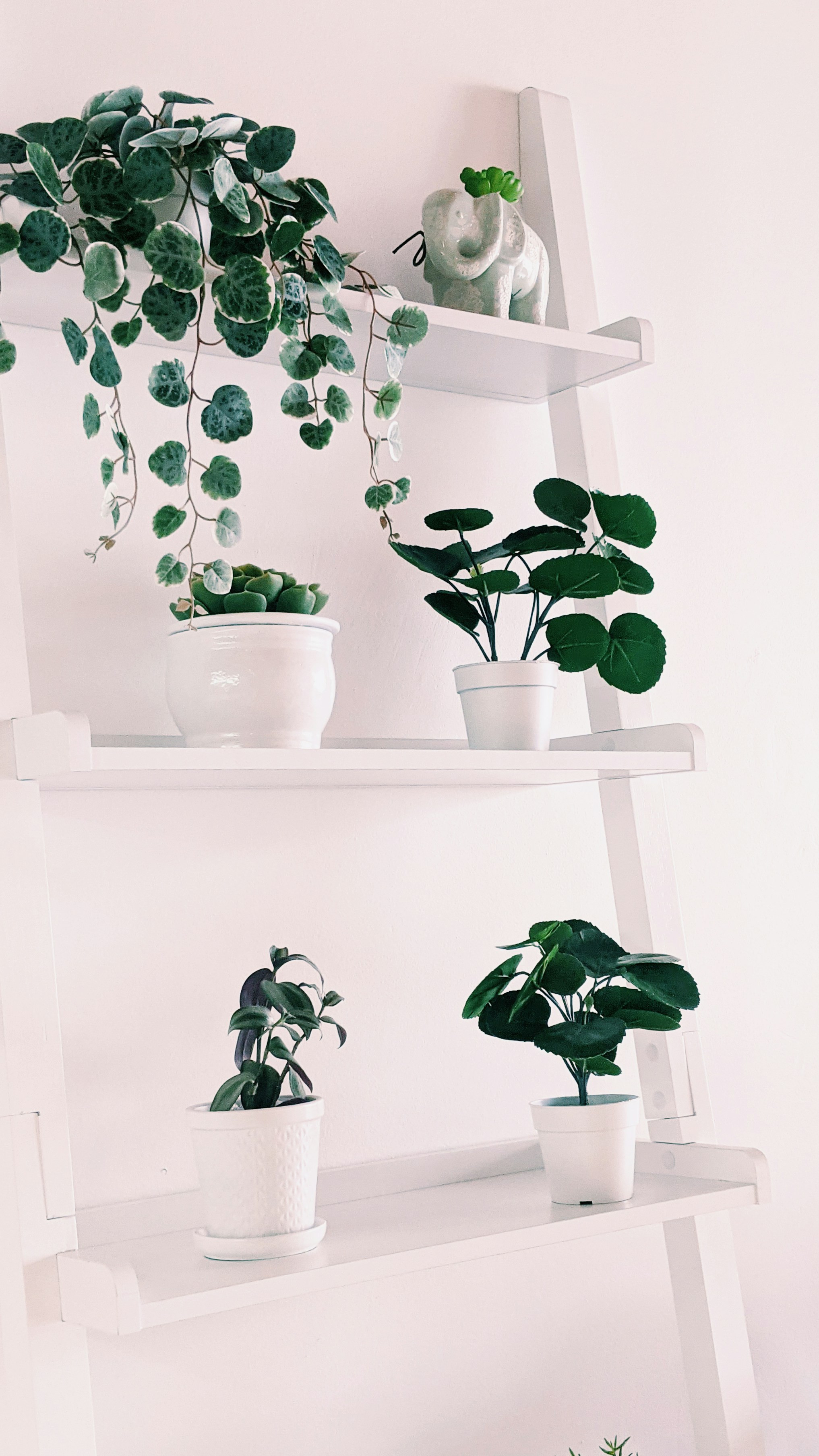 Photo by jessestallworth