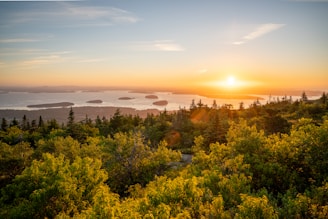 A vibrant sunrise casting golden light over the lush greenery and rugged terrain of Ujungkulon National Park.