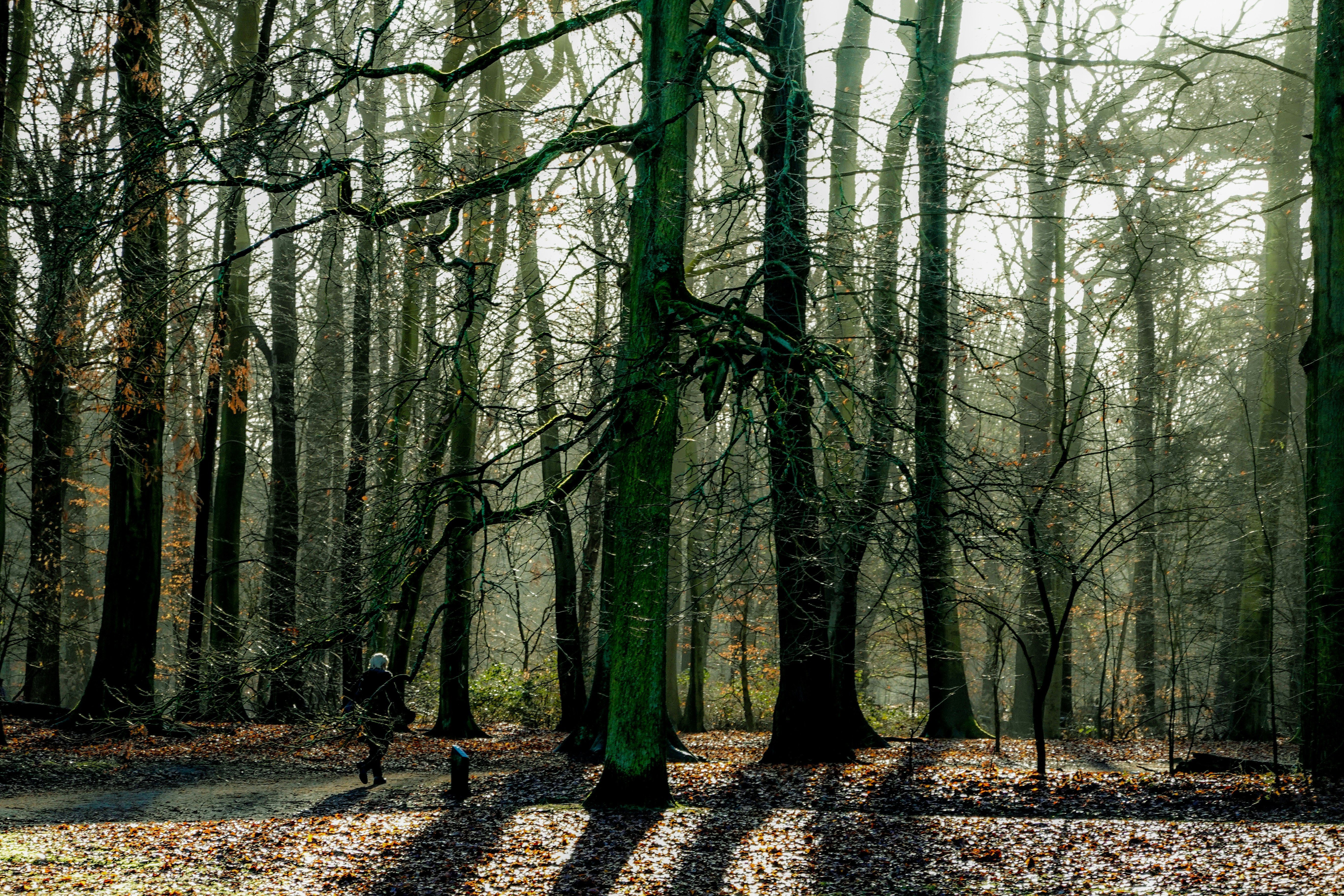 Photo by hooverpaul55