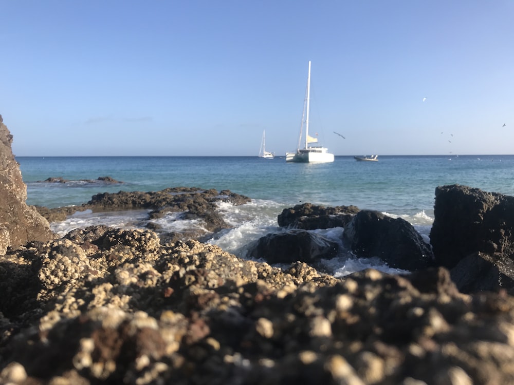 white sailboat on sea during daytime