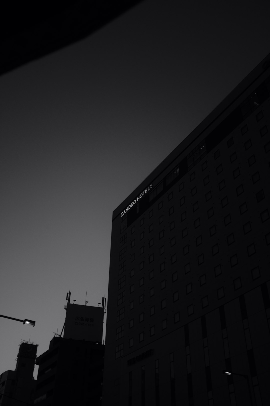 grayscale photo of high rise building