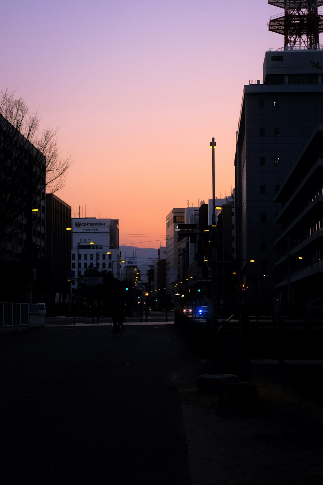 cars on road near buildings during sunset