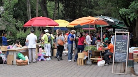 people standing near green trees during daytime