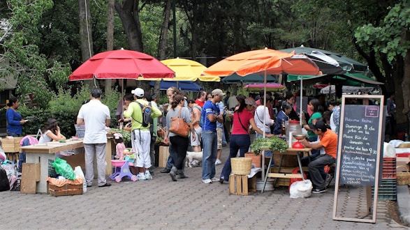 people standing near green trees during daytime