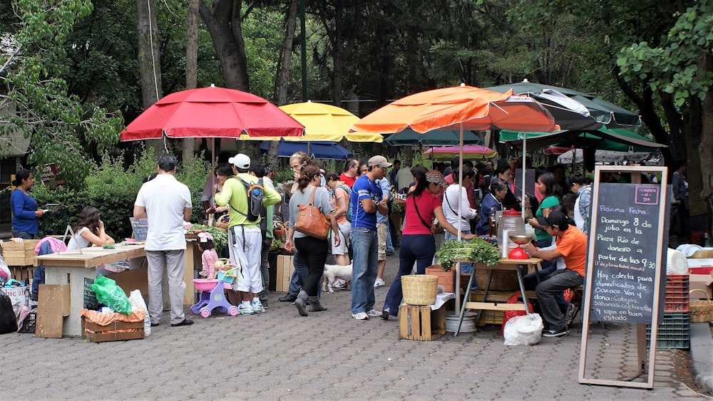 people standing near green trees during daytime