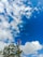 A telecommunications tower stands tall against a vibrant blue sky scattered with fluffy white clouds. Green foliage and overhead power lines frame the scene, adding a contrasting natural element to the industrial structure of the tower.
