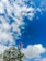 A telecommunications tower stands tall against a vibrant blue sky scattered with fluffy white clouds. Green foliage and overhead power lines frame the scene, adding a contrasting natural element to the industrial structure of the tower.