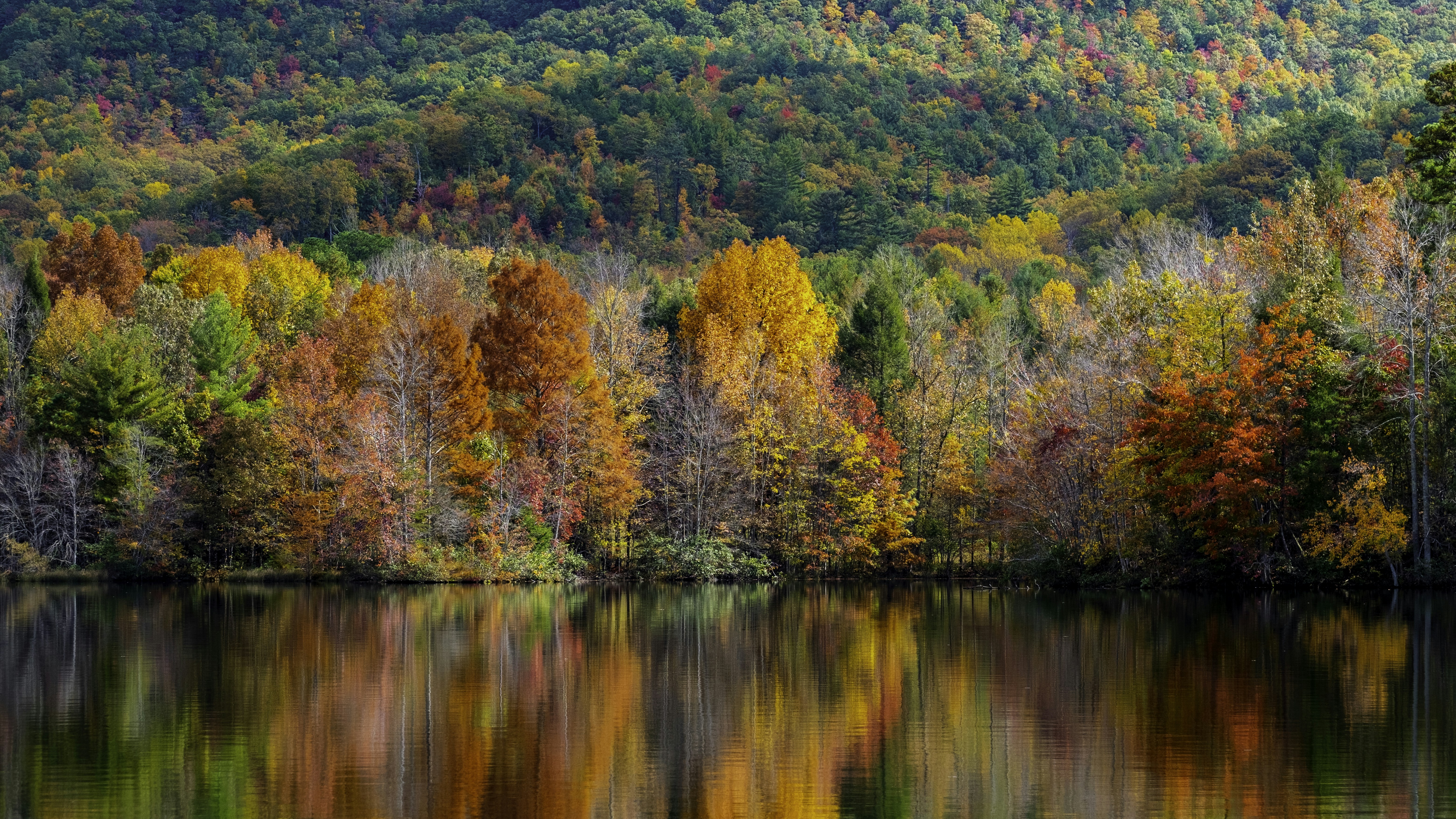 Fall Colors - Colors of Autumn