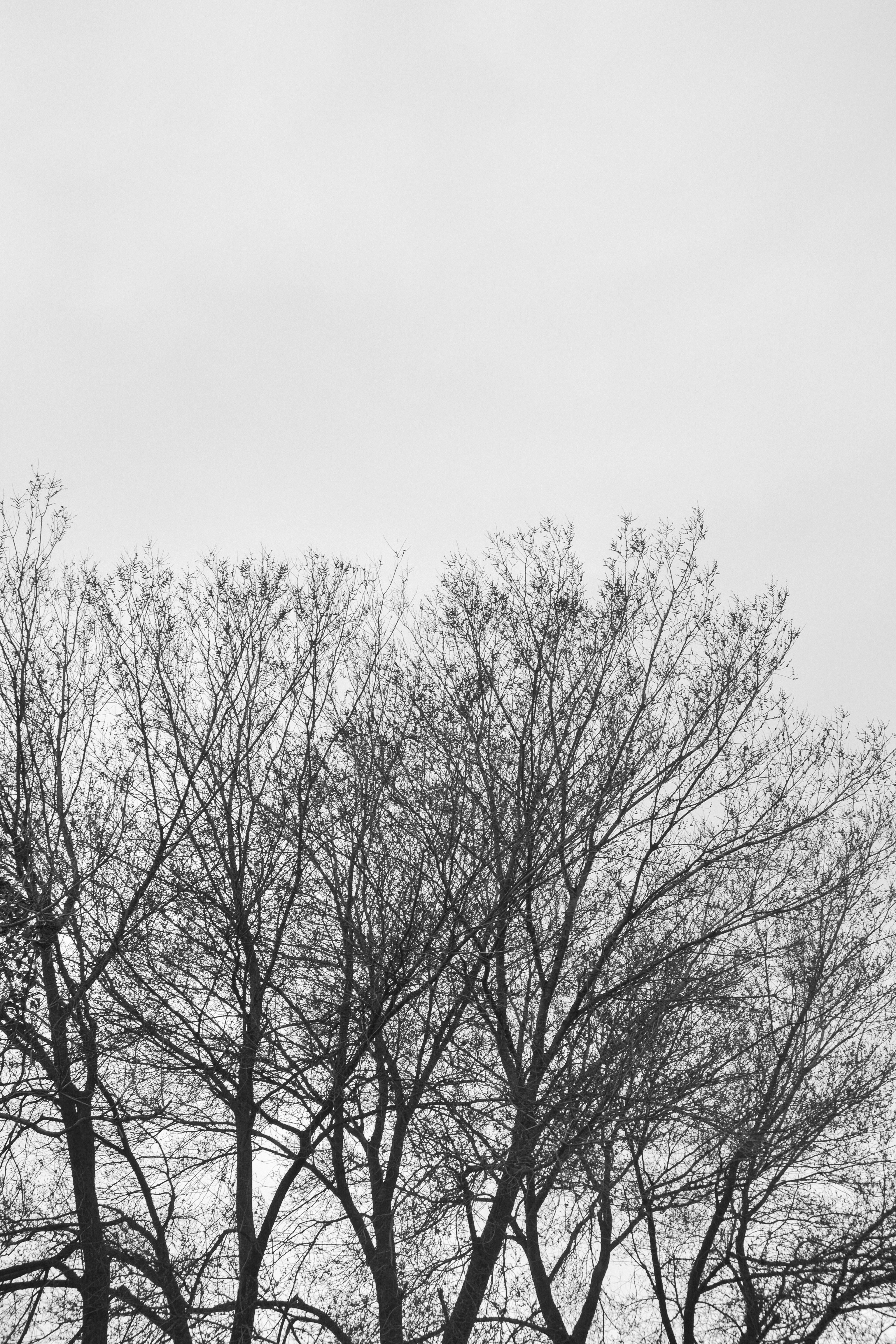 Photo by sergidolcet