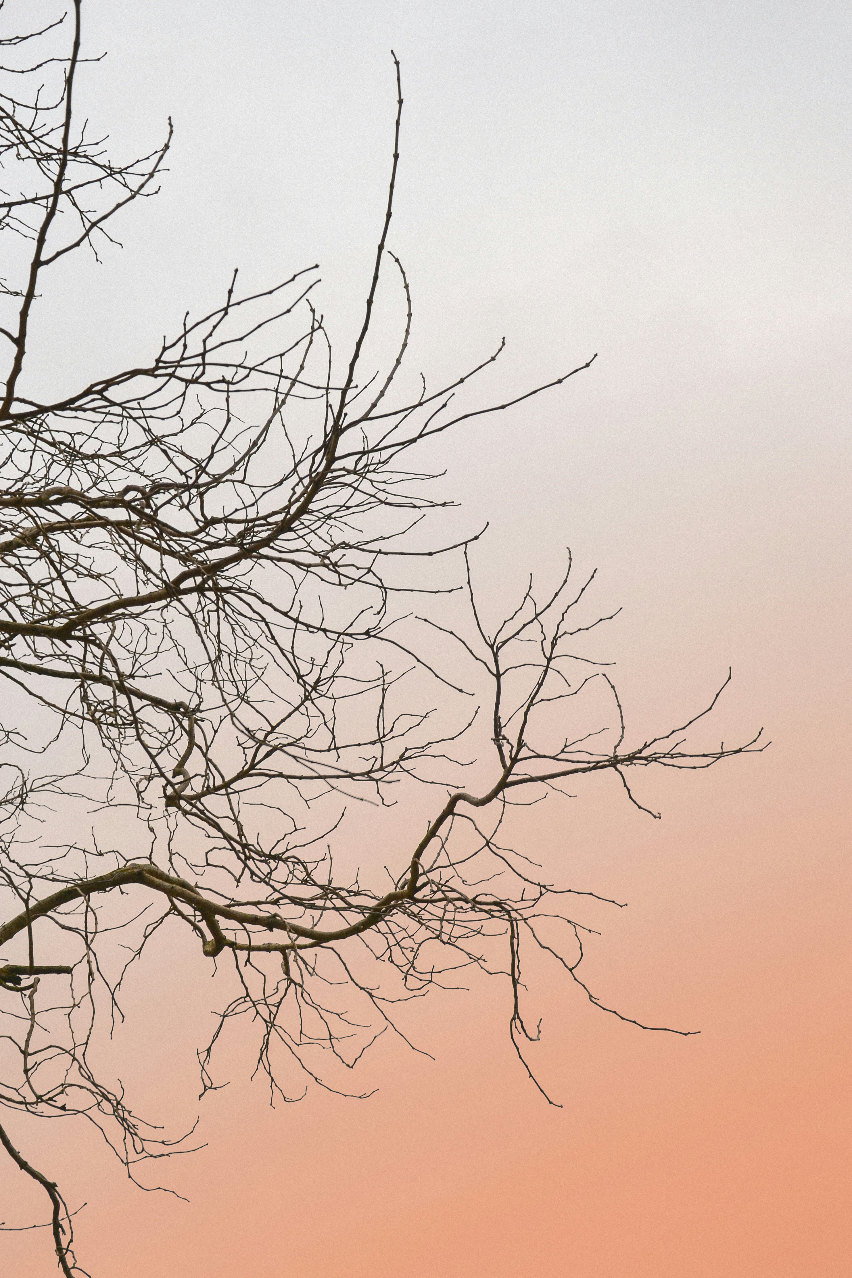 Photo by sergidolcet