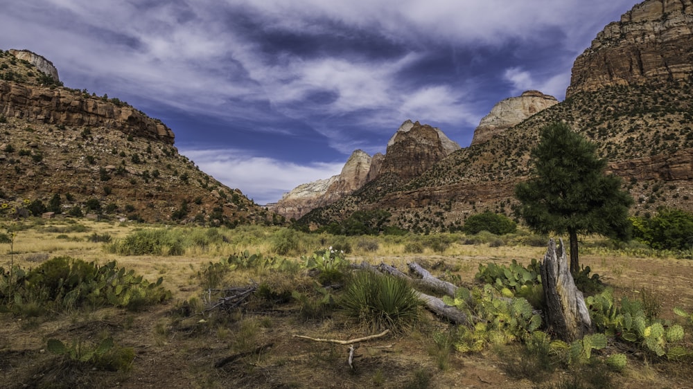 brown rocky mountain under blue sky during daytime