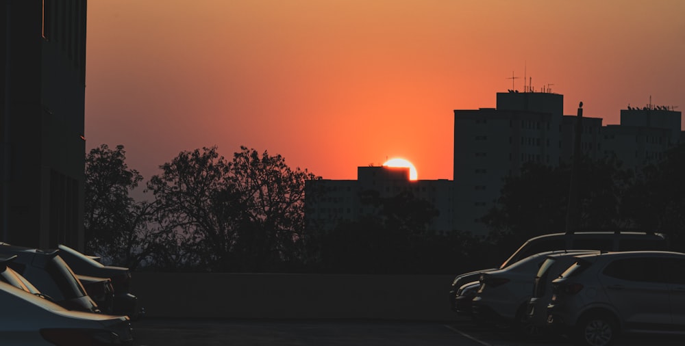 silhouette of trees and city buildings during sunset