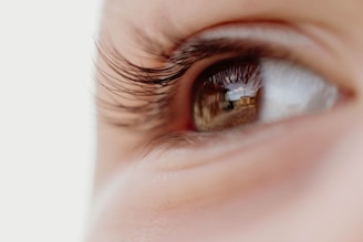 persons brown eyes in close up photography