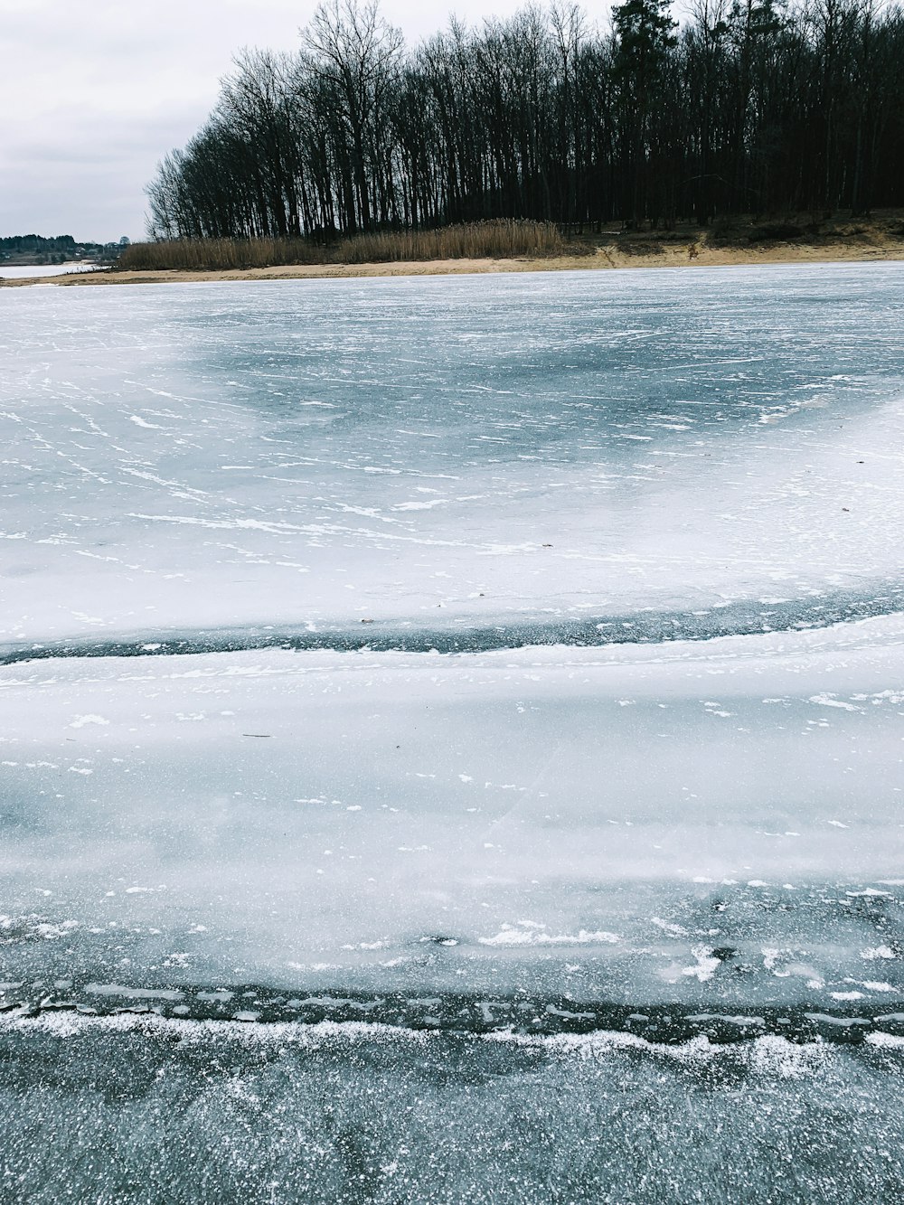 昼間の積雪フィールド