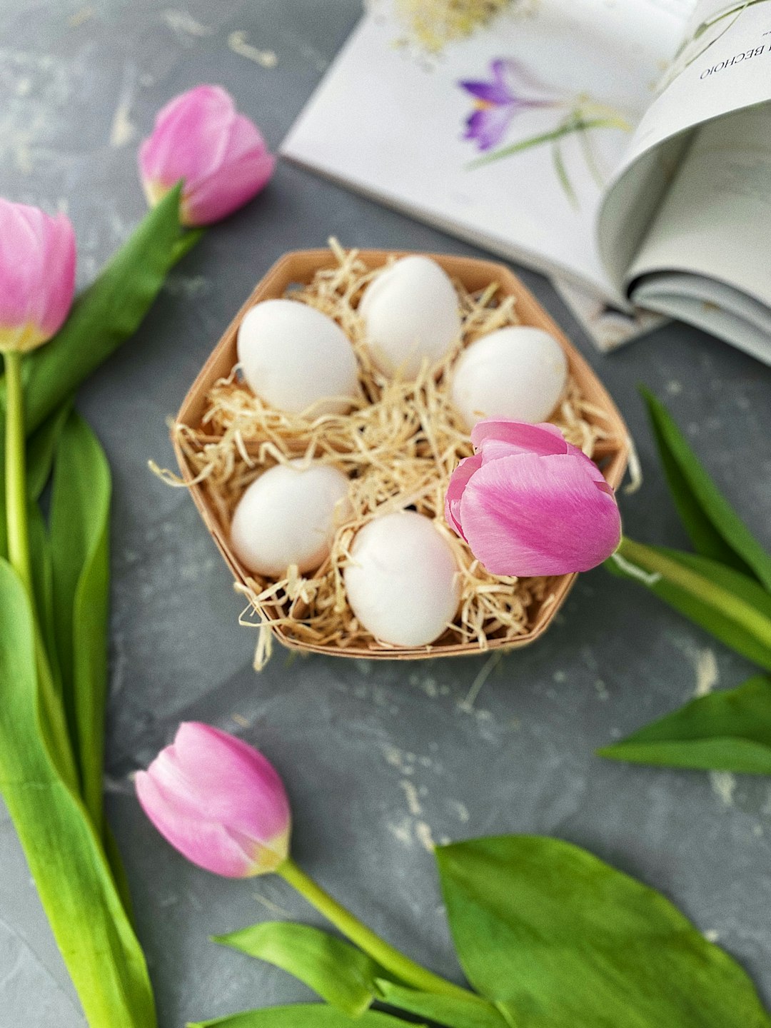 white egg on white egg shell