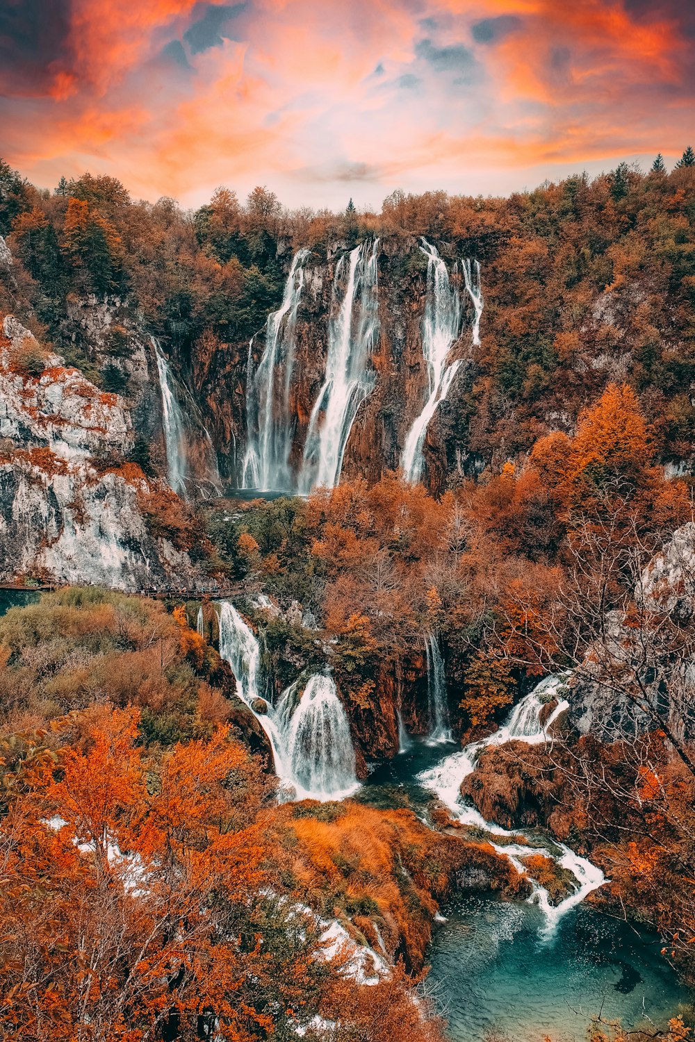 Cascadas en medio del bosque durante el día