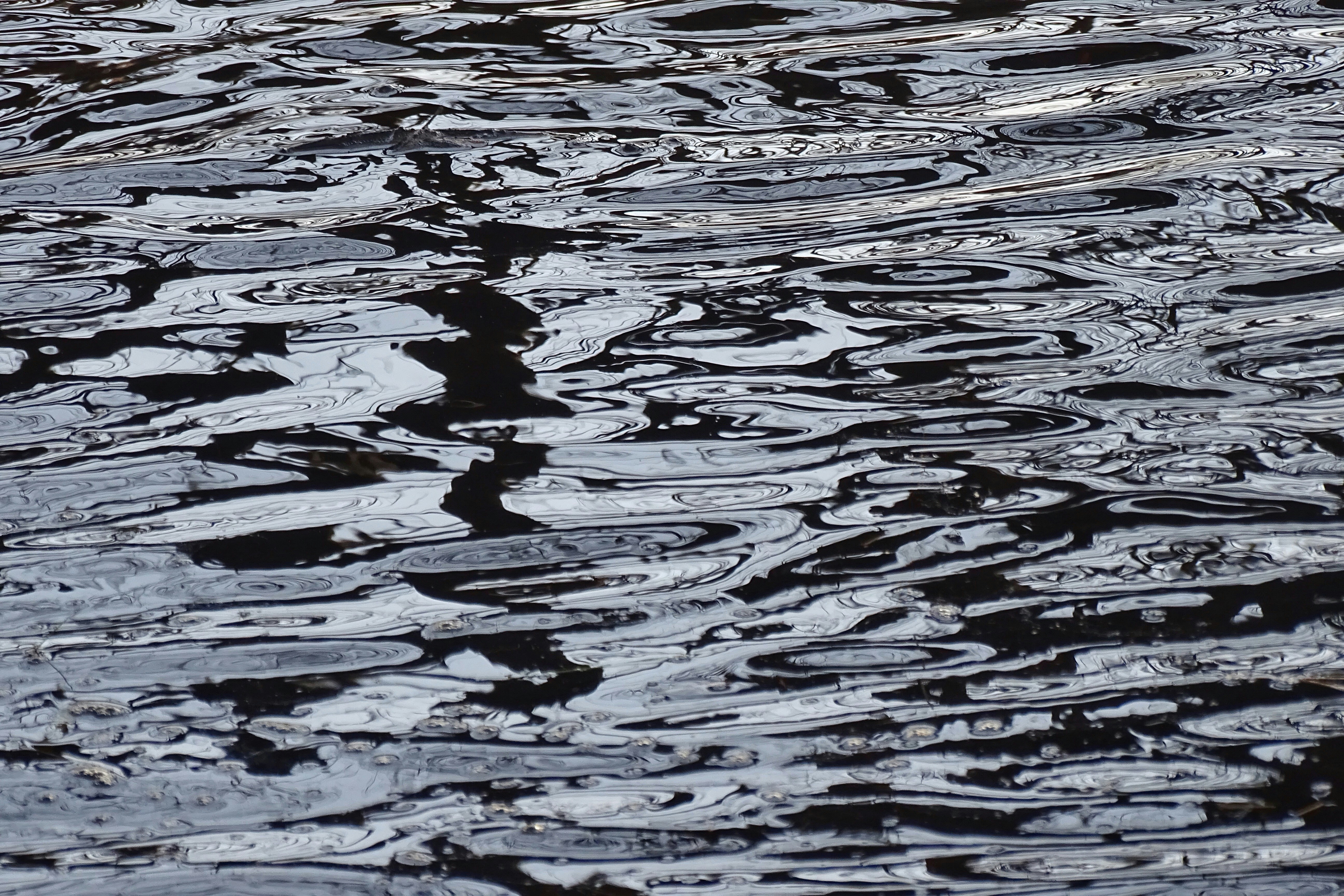 body of water during daytime